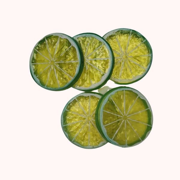 Lime Slices - Set of 5