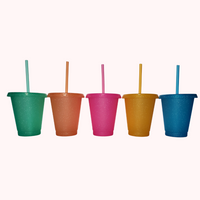 16oz - Summer Fun Set of 5